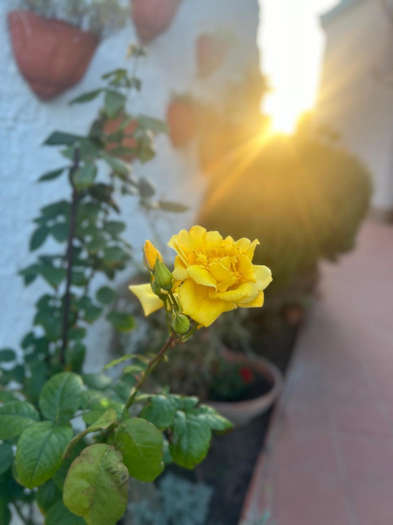 فندق Rosa Dei Venti كالياري المظهر الخارجي الصورة
